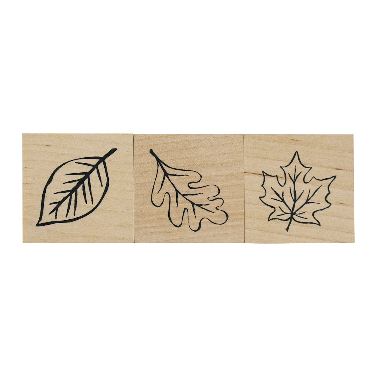 6 Pack: Fall Leaf Stamp Set by Recollections&#x2122;